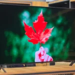 لیست قیمت تلویزیون 75 اینچ ال جی در بانه و گناوه( همه سری های 75 اینچ ال جی )